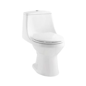 Elongated 1.6 GPF 1-piece Toilet